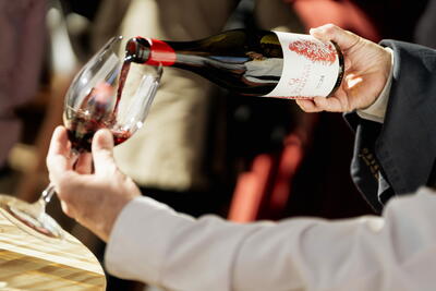 Quinta do Sampayo - A Unique Wine, Yours!