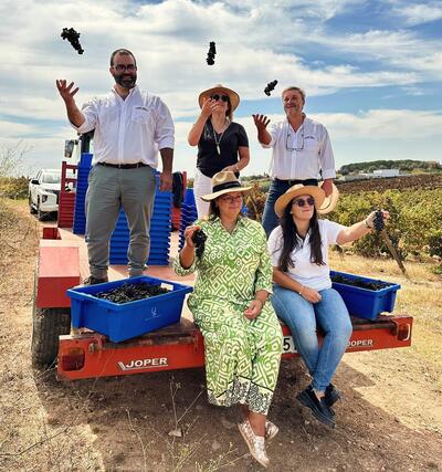 Quinta do Sampayo - Harvesting like a Winemaker