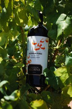 Quinta da Alorna - Reserva das Pedras Tasting