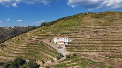 Quinta da Pedra Alta – Visita & Prova Clássica 