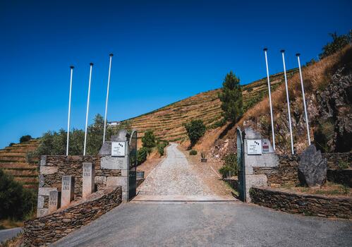 Quinta da Pedra Alta – Visita & Prova Premium