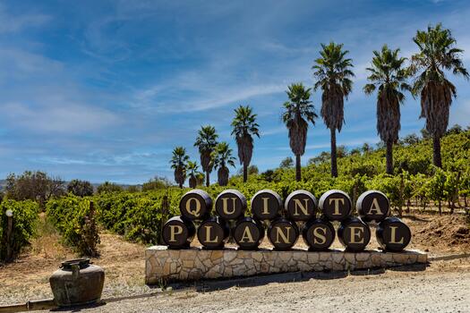 Quinta da Plansel - Visita & Cata Duo