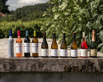 Casa Santa Eulália - Basto Sub-Region Tasting