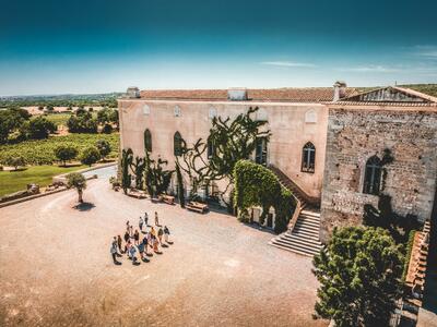 Fitapreta - New & Old Vineyards