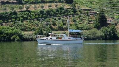 Private Douro Boat Experience