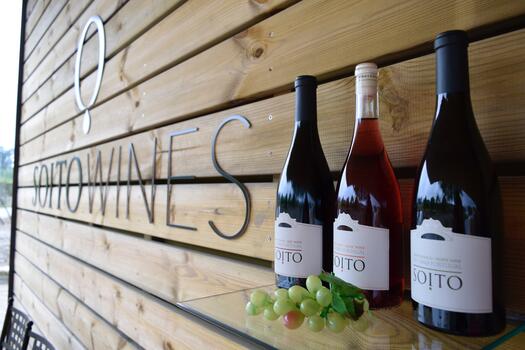 Soito Wines - Tour & Classic Wine Tasting