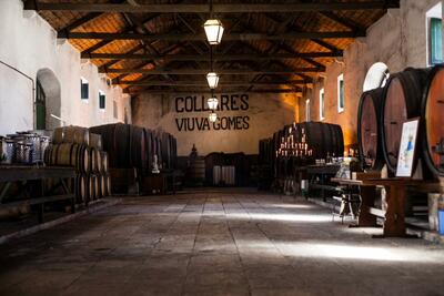 Adega Viúva Gomes – Lisboa & Colares Tasting