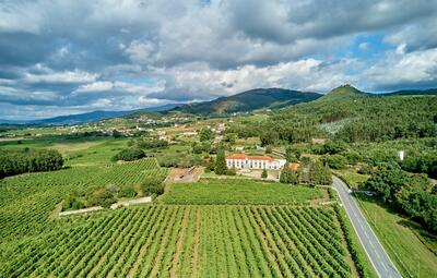 Quinta do Hospital - Tour & Classic Tasting