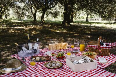 Quinta do Hospital - Visit & Picnic 