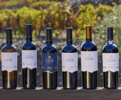 Quinta de S. José – Visita & Prova Completa
