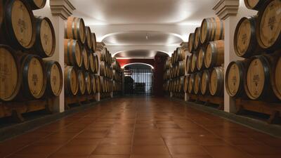 Filipe Palhoça Vinhos - Exclusive Tour 