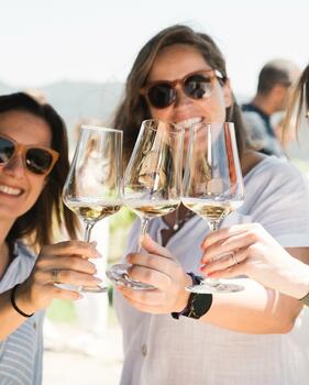 Quinta de San Michel - The Jana's Sparkling 