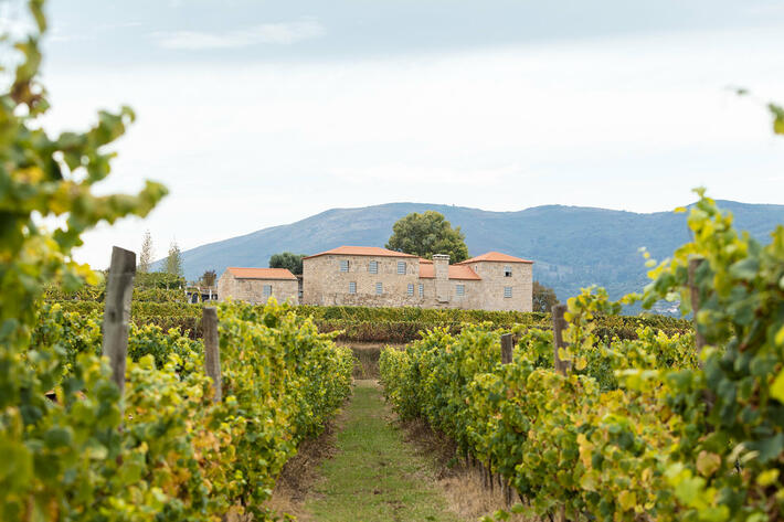 Tour Privado Vinhos Verdes