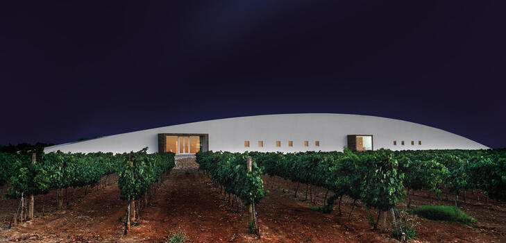 Tiago Cabaço Winery - Visita & Cata Excelencia