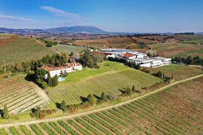 Casa Santos Lima - Tour & Varietal Tasting