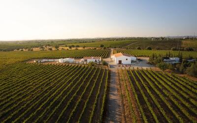 Al-Lagar – Visita & Prova Algarve 