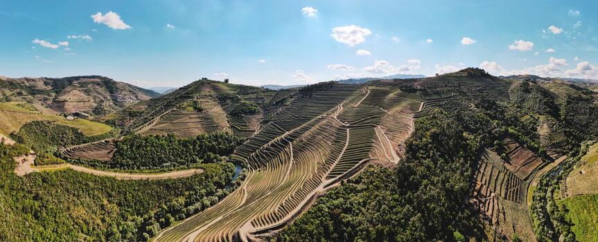 Adega H.O – Visita & Prova Tesouros do Douro