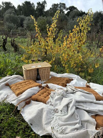 Adega da Gaveta - Wine Picnic for Two!