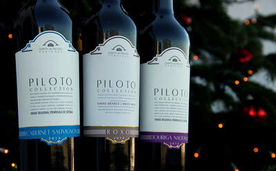 Quinta do Piloto – Iconic Tasting