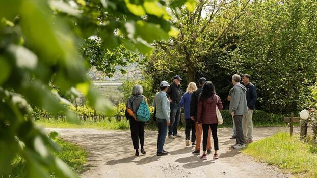 Private Tour to the Vinhos Verdes Region