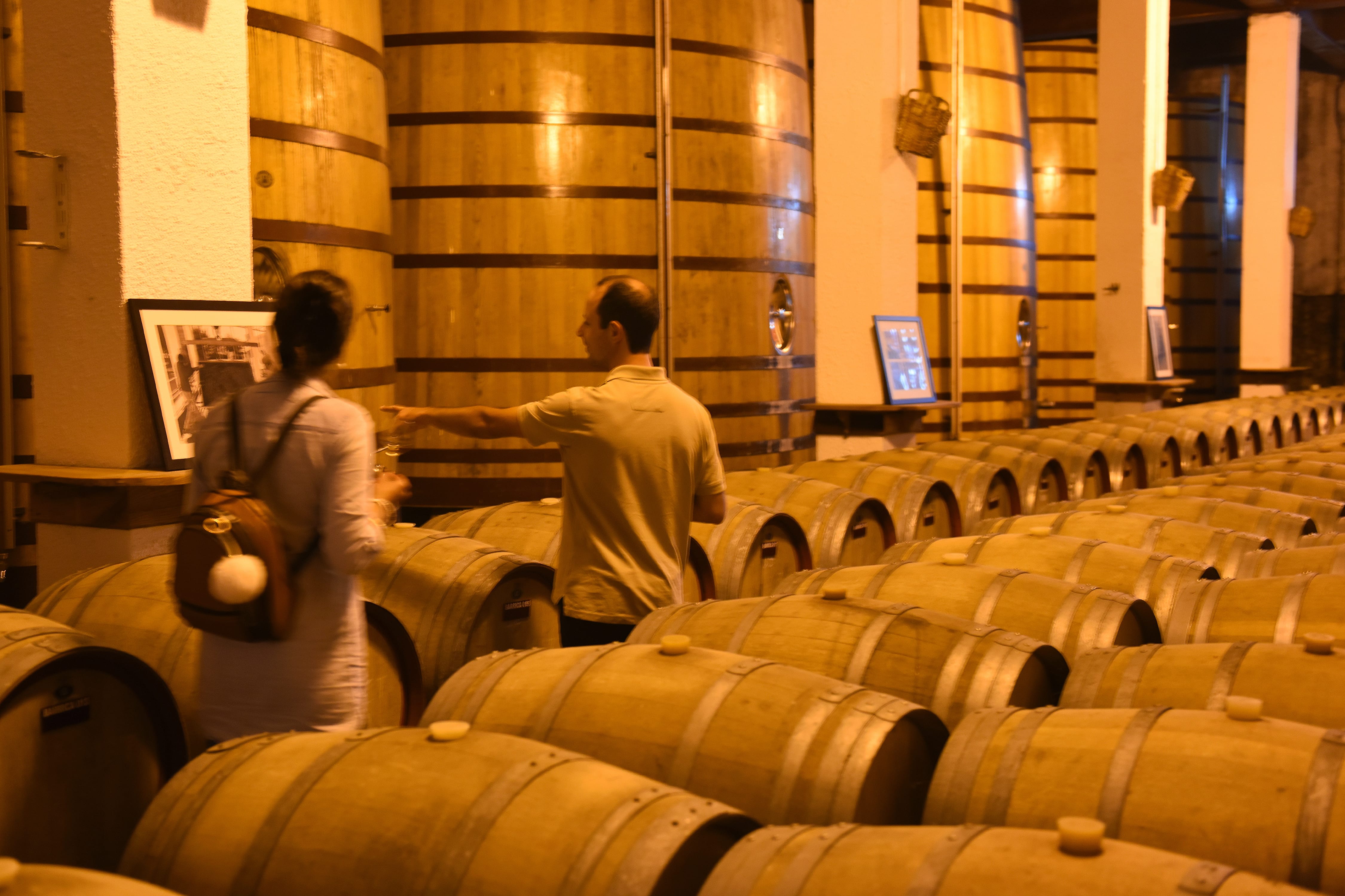 Quinta da Avessada - Tour & Wine Tasting