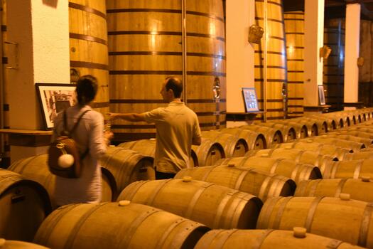 Quinta da Avessada - Tour & Wine Tasting