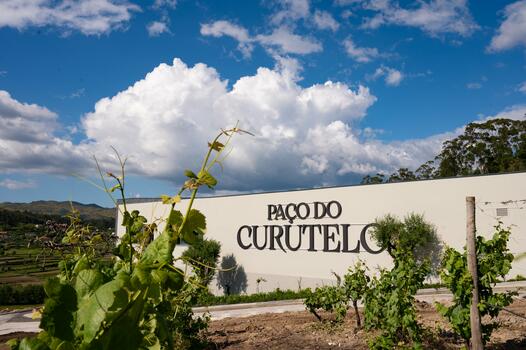 Paço do Curutelo – Tour & "Curutelo" Tasting