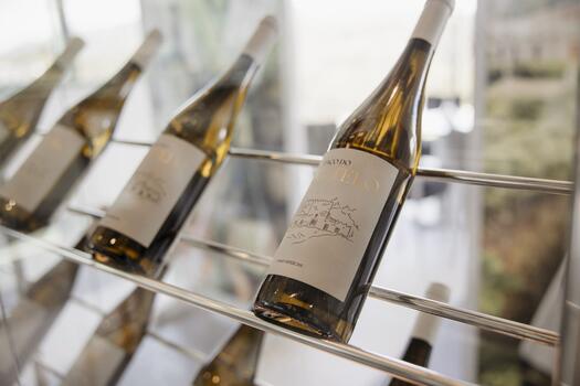 Paço do Curutelo – "From Minho to Douro"