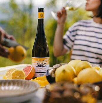 Quinta da Torre - Picnic