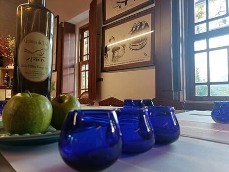 Quinta do Tedo – Visita & Prova de Azeites