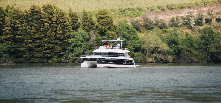 Barco Pacheca River - Momentos Douro 2h