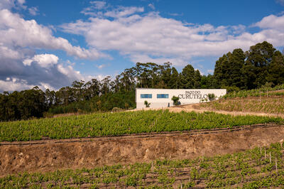 Paço do Curutelo - Harvest Programme