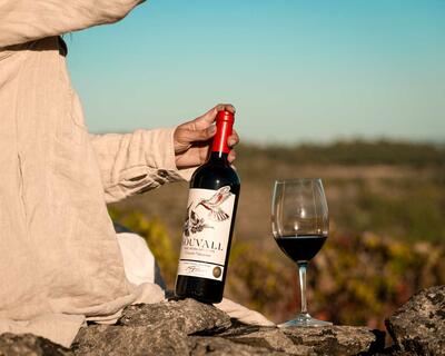 Quinta do Souvall - Tour & Wine Tasting 
