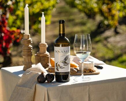Quinta do Souvall - Tour, Tasting & Appetisers