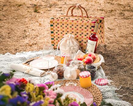 Quinta do Souvall - Picnic among the Vineyards 