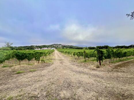 Pista Wines - Cata Reserva