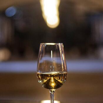 Adega de Colares - Tour & Royal Wine Tasting 