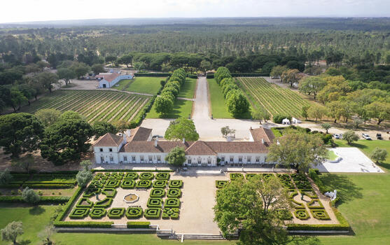 Herdade do Perú - Private Tour & Expert Tasting