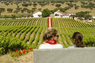 Reynolds Wine Growers - Exclusive Experience