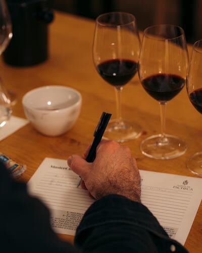 Quinta da Pacheca – Curso Iniciação à Prova