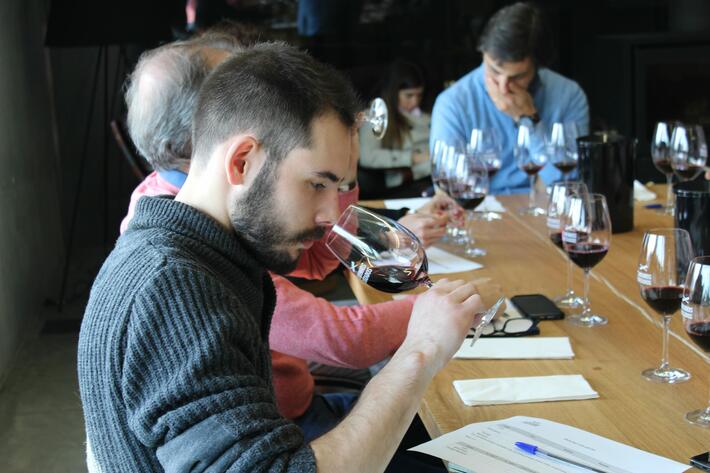 Dão Terroir Tour