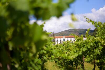 Quinta do Hospital – Tour & Sparkling Wine Tasting