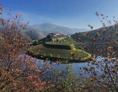 Douro Vintage Sommelier