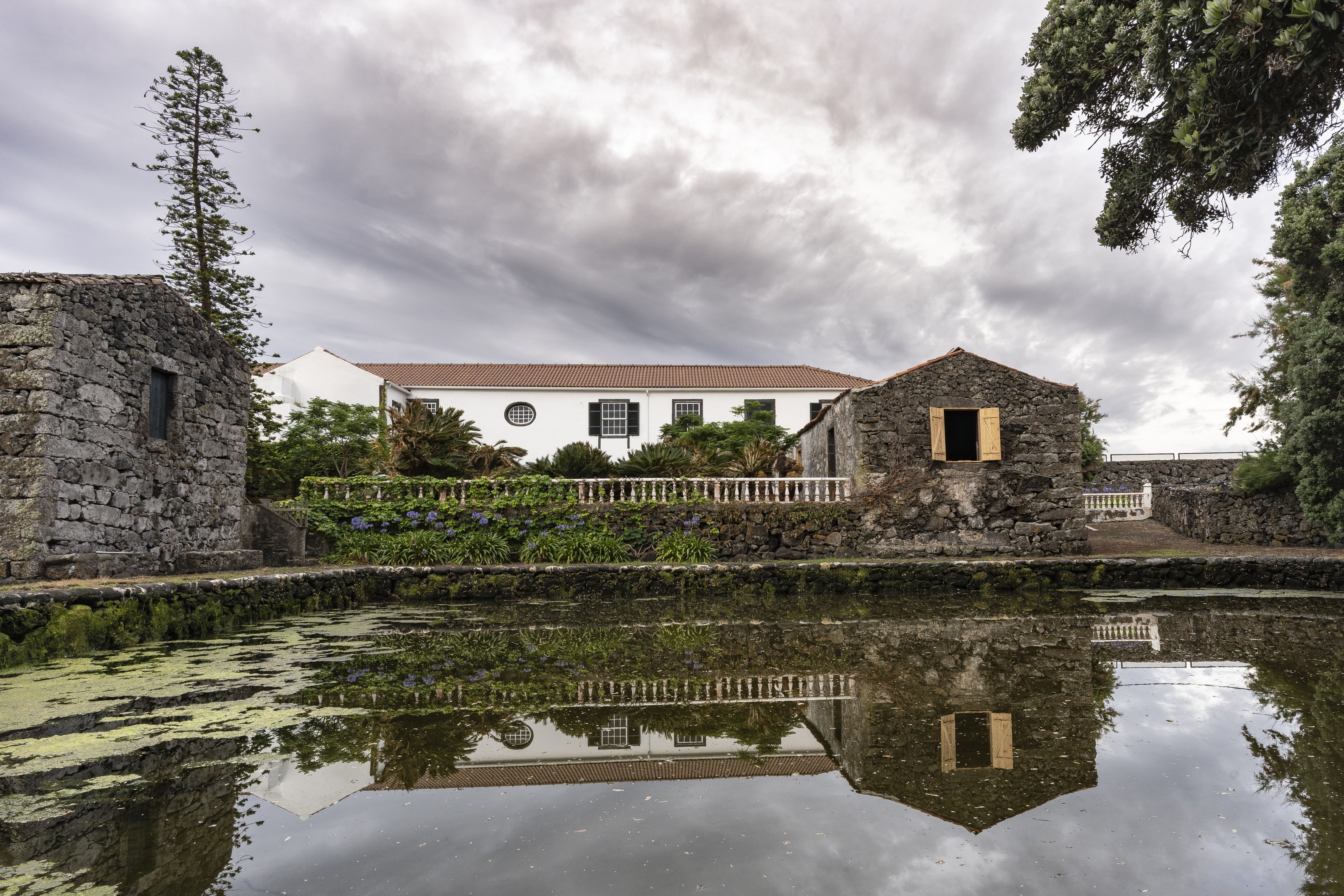 Adega do Vulcão - Tour & Premium Tasting