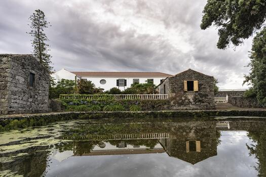 Adega do Vulcão - Tour & Premium Tasting