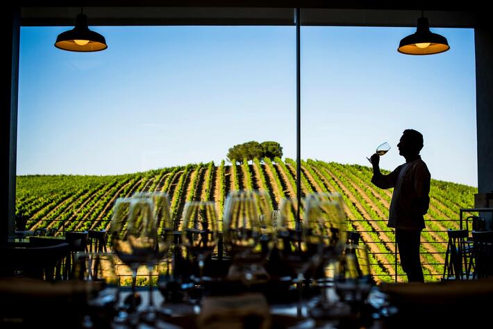 Alentejo Crafted by a Sommelier