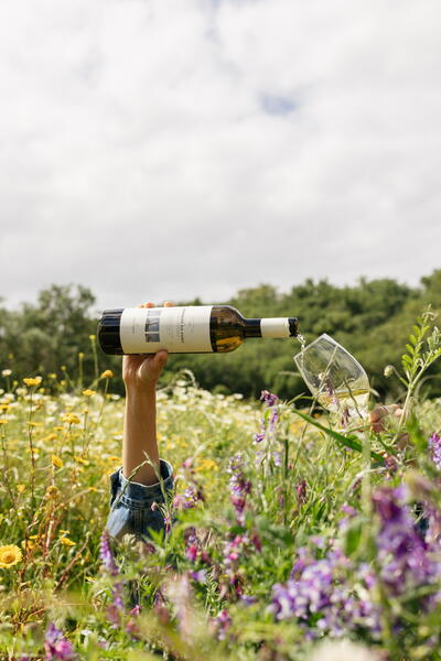 Setúbal Wine Heritage – Lisboa, Península de Setúbal