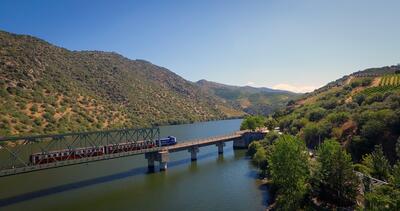 Grape Harvest Train in the Douro