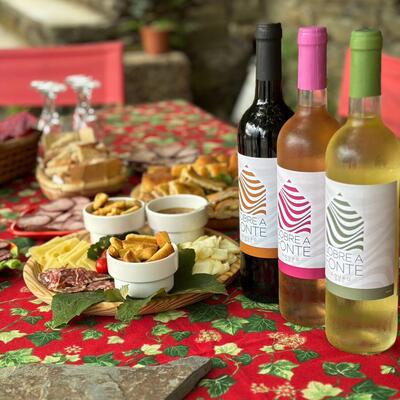 Quinta de Sobre a Fonte - Visita & Prova de Vinhos