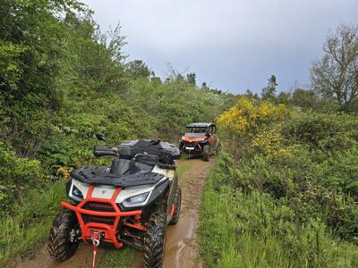 Adega da Gaveta - Adventure Among Vineyards